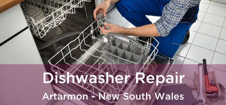 Dishwasher Repair Artarmon - New South Wales