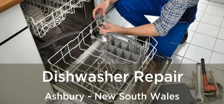 Dishwasher Repair Ashbury - New South Wales