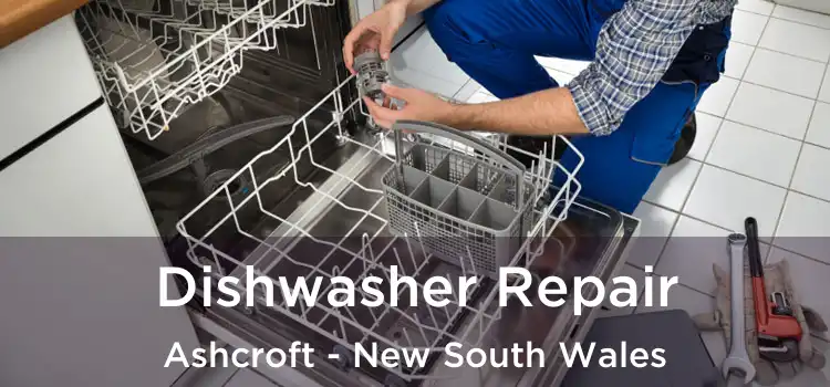Dishwasher Repair Ashcroft - New South Wales