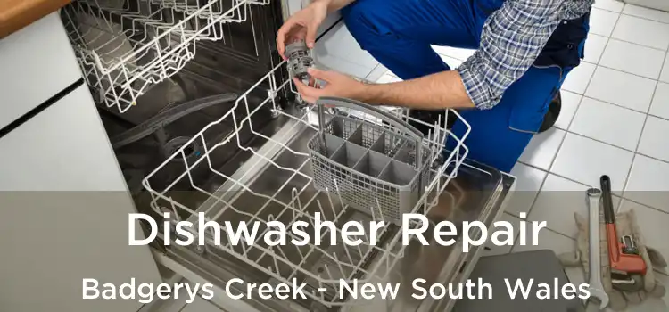 Dishwasher Repair Badgerys Creek - New South Wales