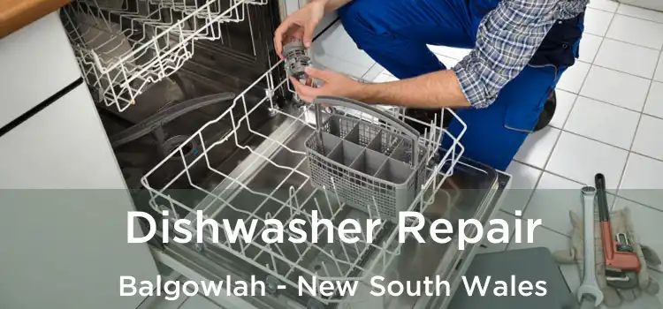 Dishwasher Repair Balgowlah - New South Wales
