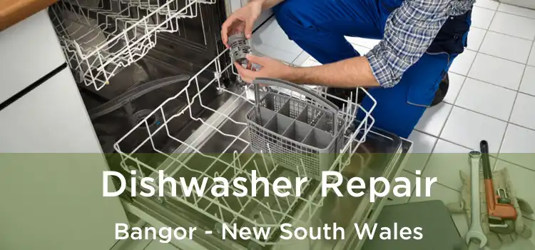 Dishwasher Repair Bangor - New South Wales