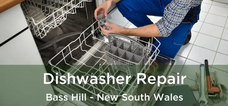 Dishwasher Repair Bass Hill - New South Wales