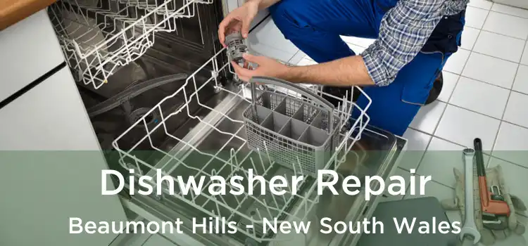 Dishwasher Repair Beaumont Hills - New South Wales