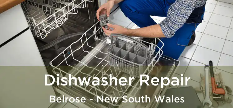 Dishwasher Repair Belrose - New South Wales