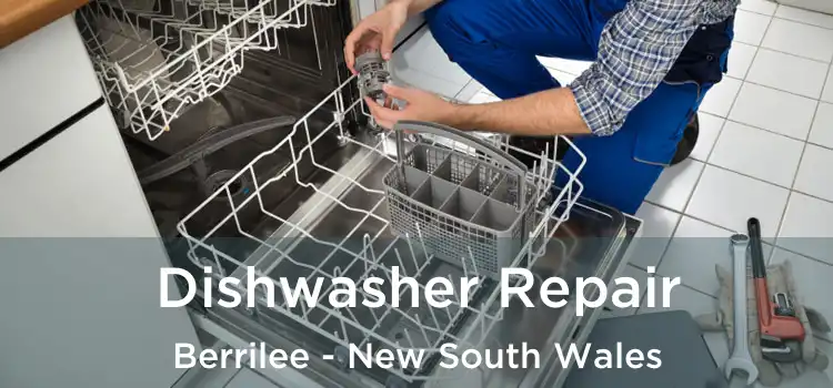 Dishwasher Repair Berrilee - New South Wales