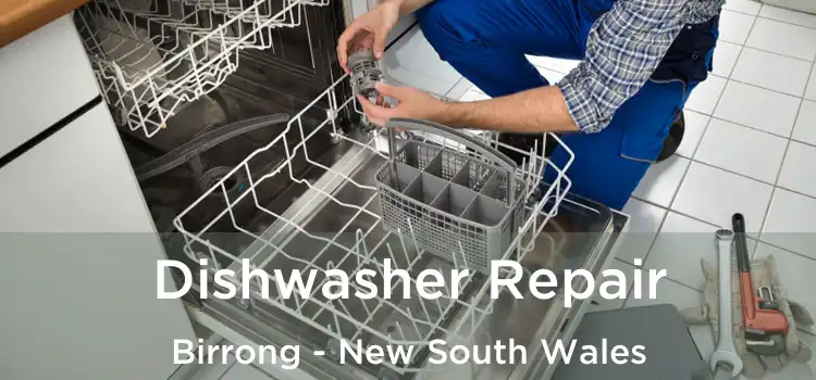 Dishwasher Repair Birrong - New South Wales