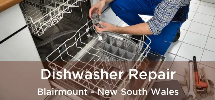 Dishwasher Repair Blairmount - New South Wales