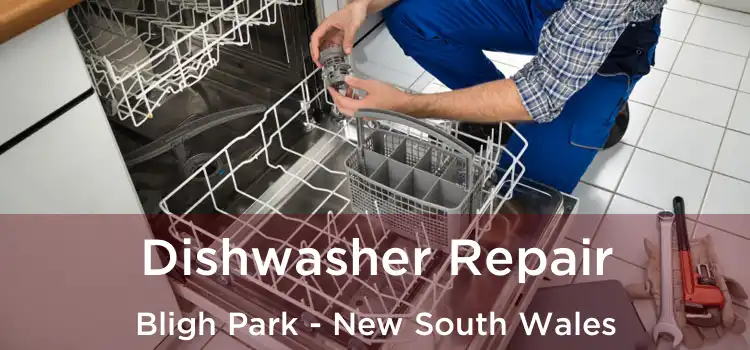 Dishwasher Repair Bligh Park - New South Wales