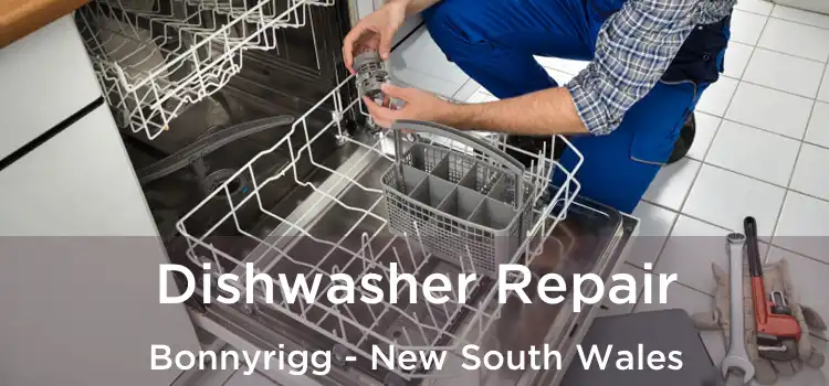 Dishwasher Repair Bonnyrigg - New South Wales