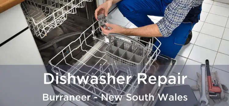 Dishwasher Repair Burraneer - New South Wales