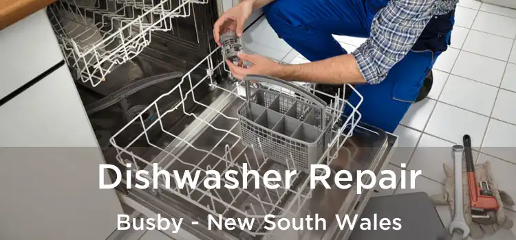 Dishwasher Repair Busby - New South Wales