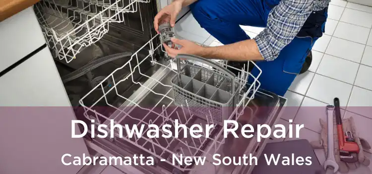 Dishwasher Repair Cabramatta - New South Wales