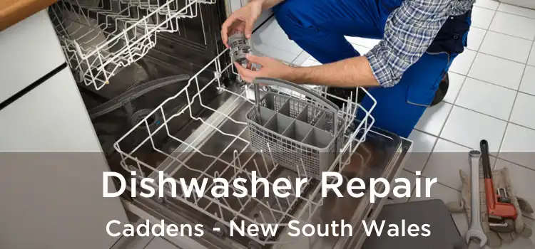 Dishwasher Repair Caddens - New South Wales