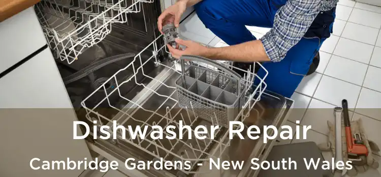 Dishwasher Repair Cambridge Gardens - New South Wales