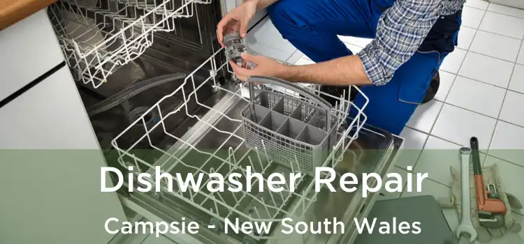 Dishwasher Repair Campsie - New South Wales