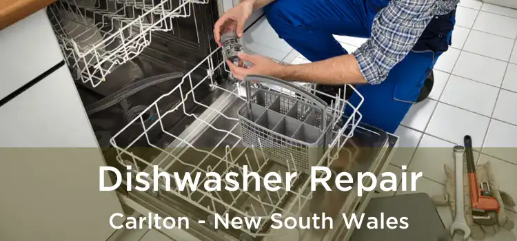Dishwasher Repair Carlton - New South Wales