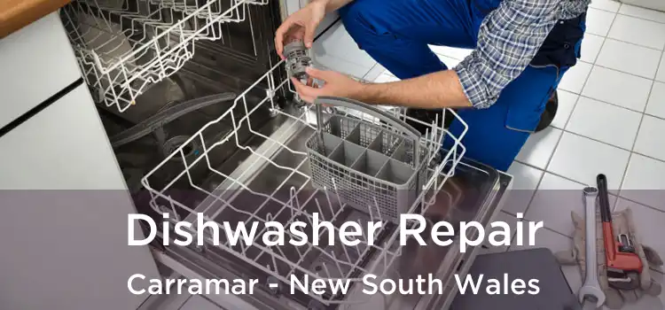 Dishwasher Repair Carramar - New South Wales