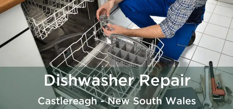 Dishwasher Repair Castlereagh - New South Wales
