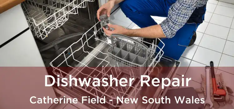 Dishwasher Repair Catherine Field - New South Wales