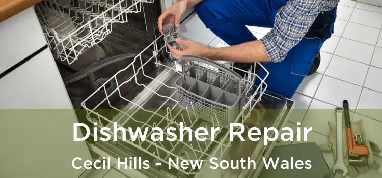 Dishwasher Repair Cecil Hills - New South Wales