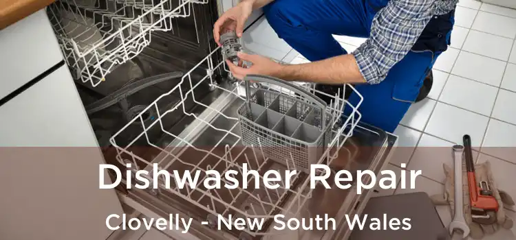 Dishwasher Repair Clovelly - New South Wales