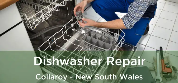 Dishwasher Repair Collaroy - New South Wales