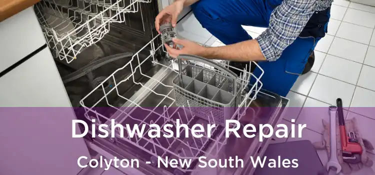 Dishwasher Repair Colyton - New South Wales