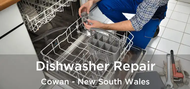 Dishwasher Repair Cowan - New South Wales