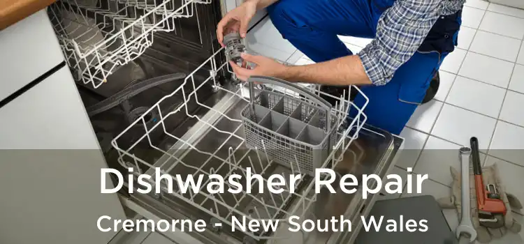 Dishwasher Repair Cremorne - New South Wales