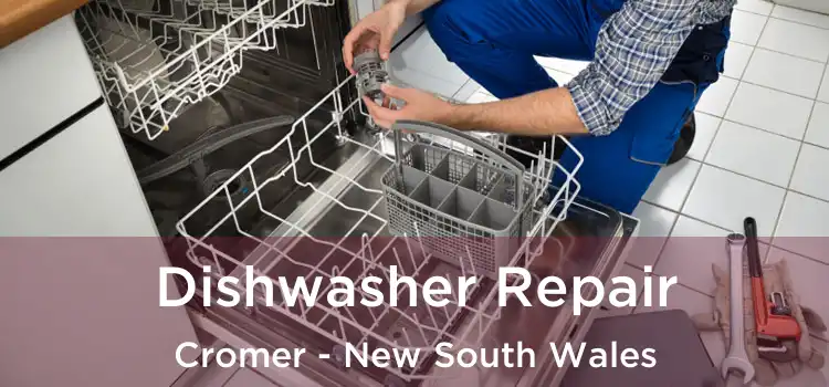 Dishwasher Repair Cromer - New South Wales