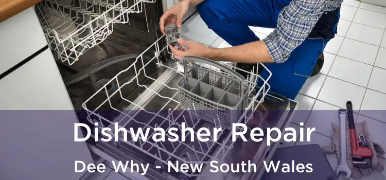 Dishwasher Repair Dee Why - New South Wales