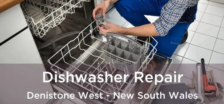 Dishwasher Repair Denistone West - New South Wales