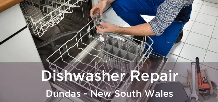 Dishwasher Repair Dundas - New South Wales