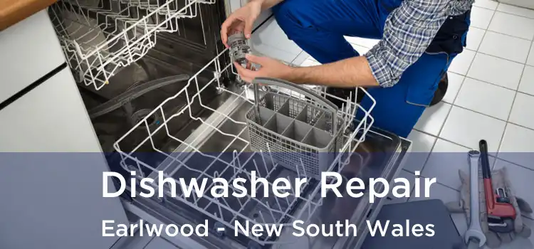 Dishwasher Repair Earlwood - New South Wales