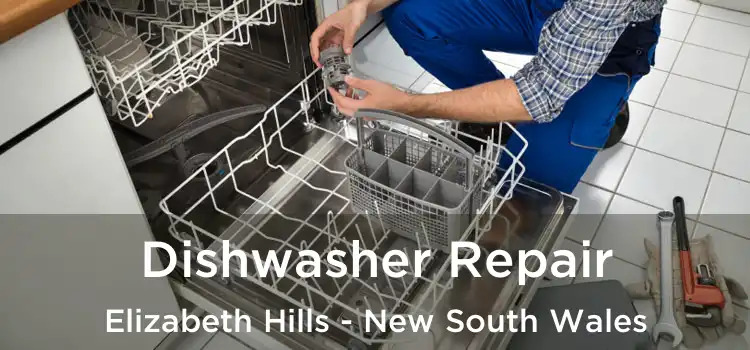 Dishwasher Repair Elizabeth Hills - New South Wales