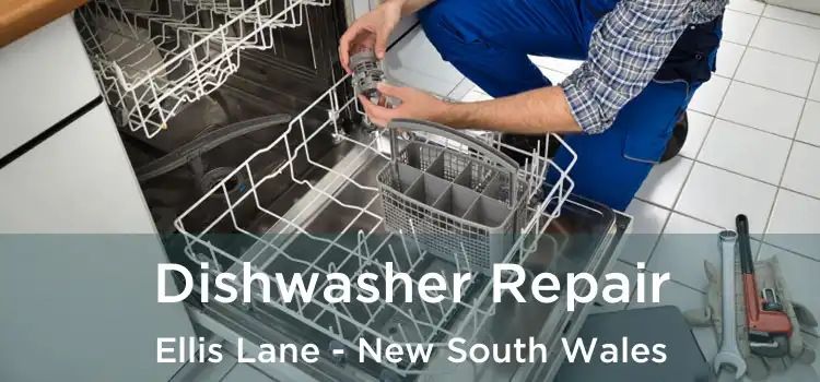 Dishwasher Repair Ellis Lane - New South Wales