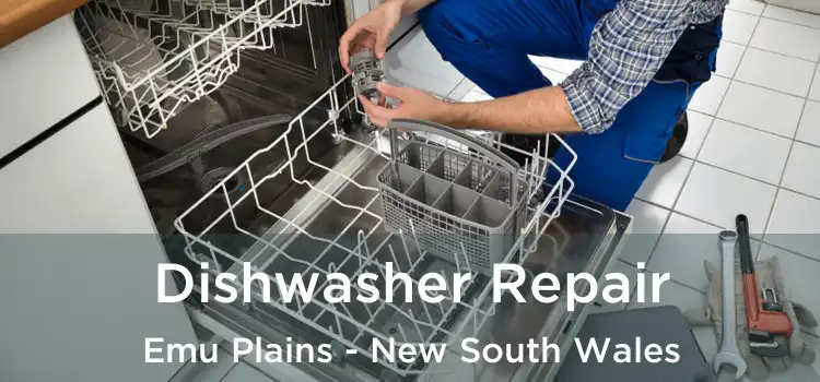 Dishwasher Repair Emu Plains - New South Wales