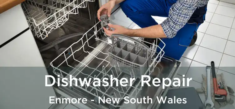 Dishwasher Repair Enmore - New South Wales