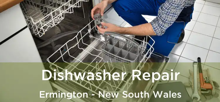 Dishwasher Repair Ermington - New South Wales