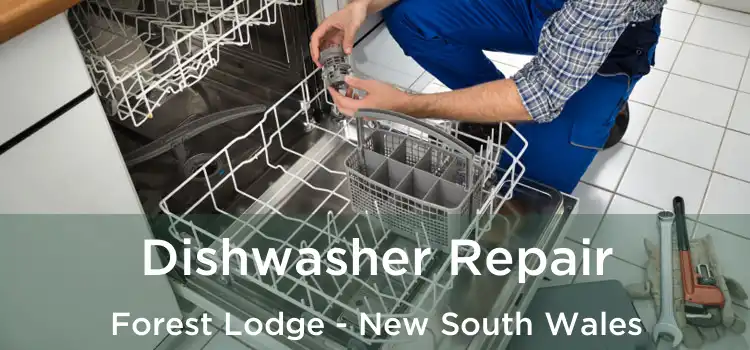 Dishwasher Repair Forest Lodge - New South Wales