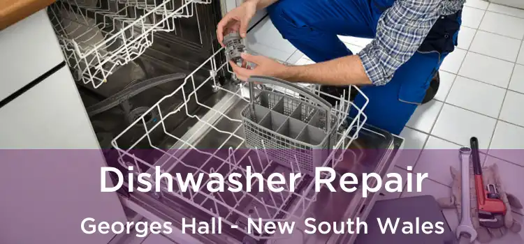 Dishwasher Repair Georges Hall - New South Wales