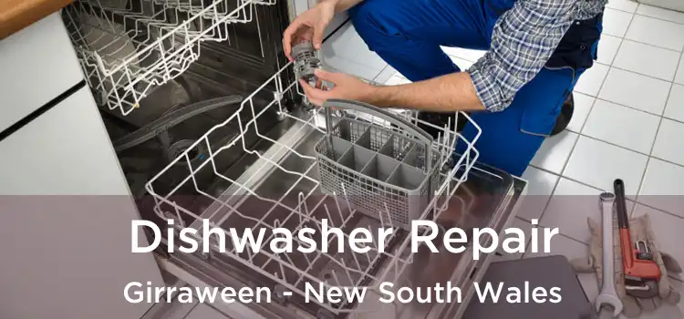 Dishwasher Repair Girraween - New South Wales