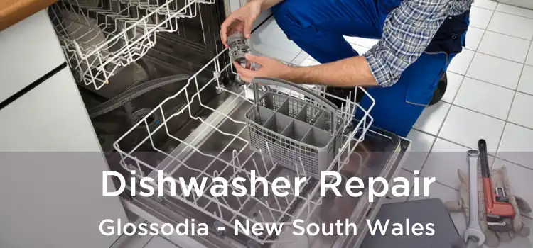 Dishwasher Repair Glossodia - New South Wales