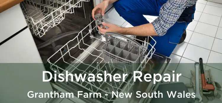Dishwasher Repair Grantham Farm - New South Wales