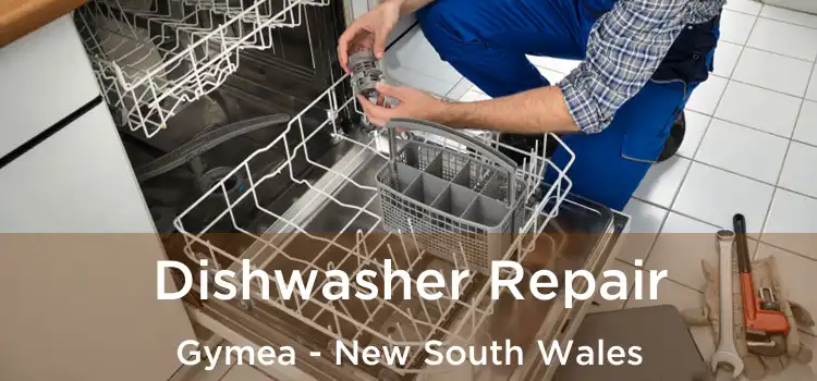 Dishwasher Repair Gymea - New South Wales