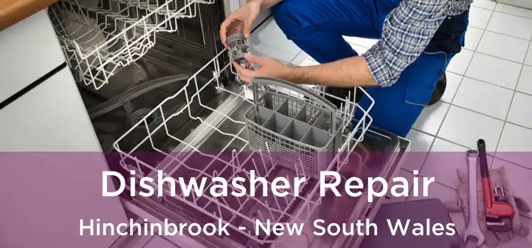 Dishwasher Repair Hinchinbrook - New South Wales