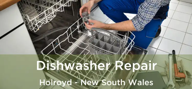 Dishwasher Repair Holroyd - New South Wales