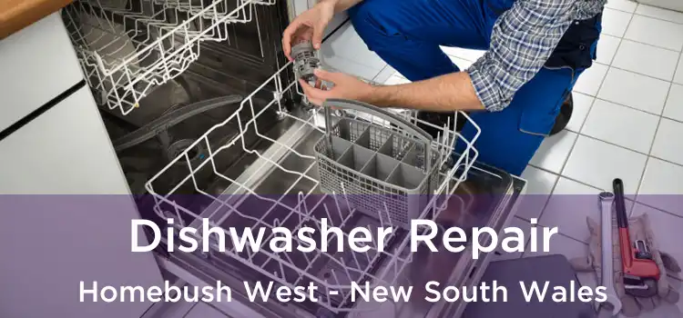 Dishwasher Repair Homebush West - New South Wales