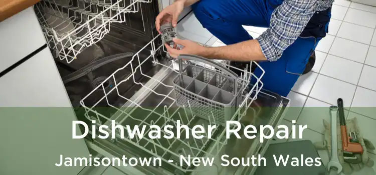 Dishwasher Repair Jamisontown - New South Wales